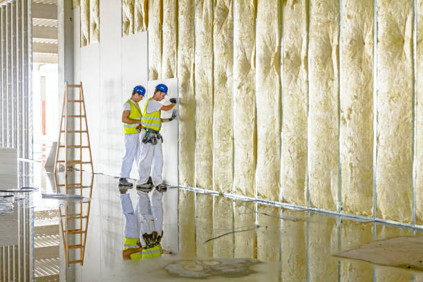 Best Cellulose Insulation in Highland Park, IL